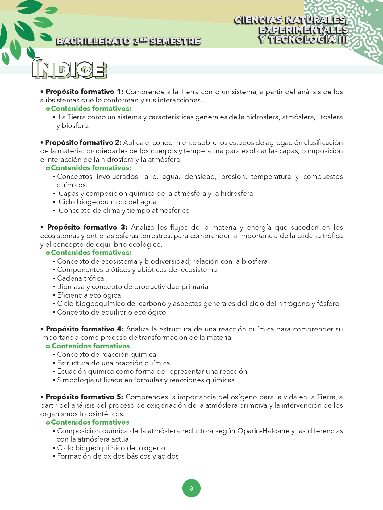 Página 3